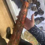 ツーソンジェムショーの化石