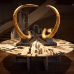 ツーソンジェムショーの化石