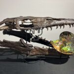 ツーソンジェムショーの化石