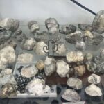 ツーソンジェムショーの天然石や鉱物