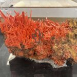ツーソンジェムショーの天然石や鉱物