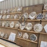 ツーソンジェムショーの化石