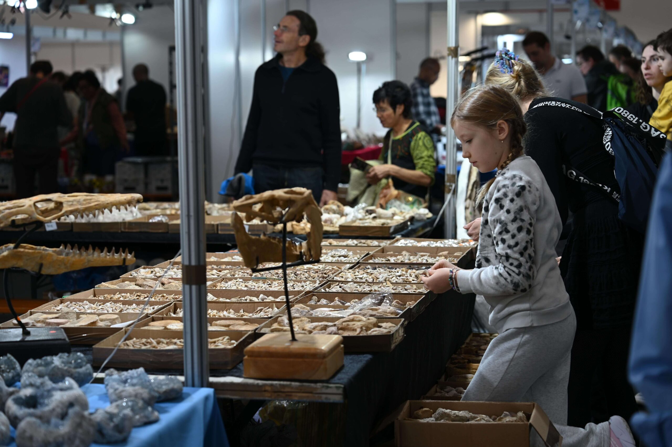 ミネラルショー 2026 全スケジュール